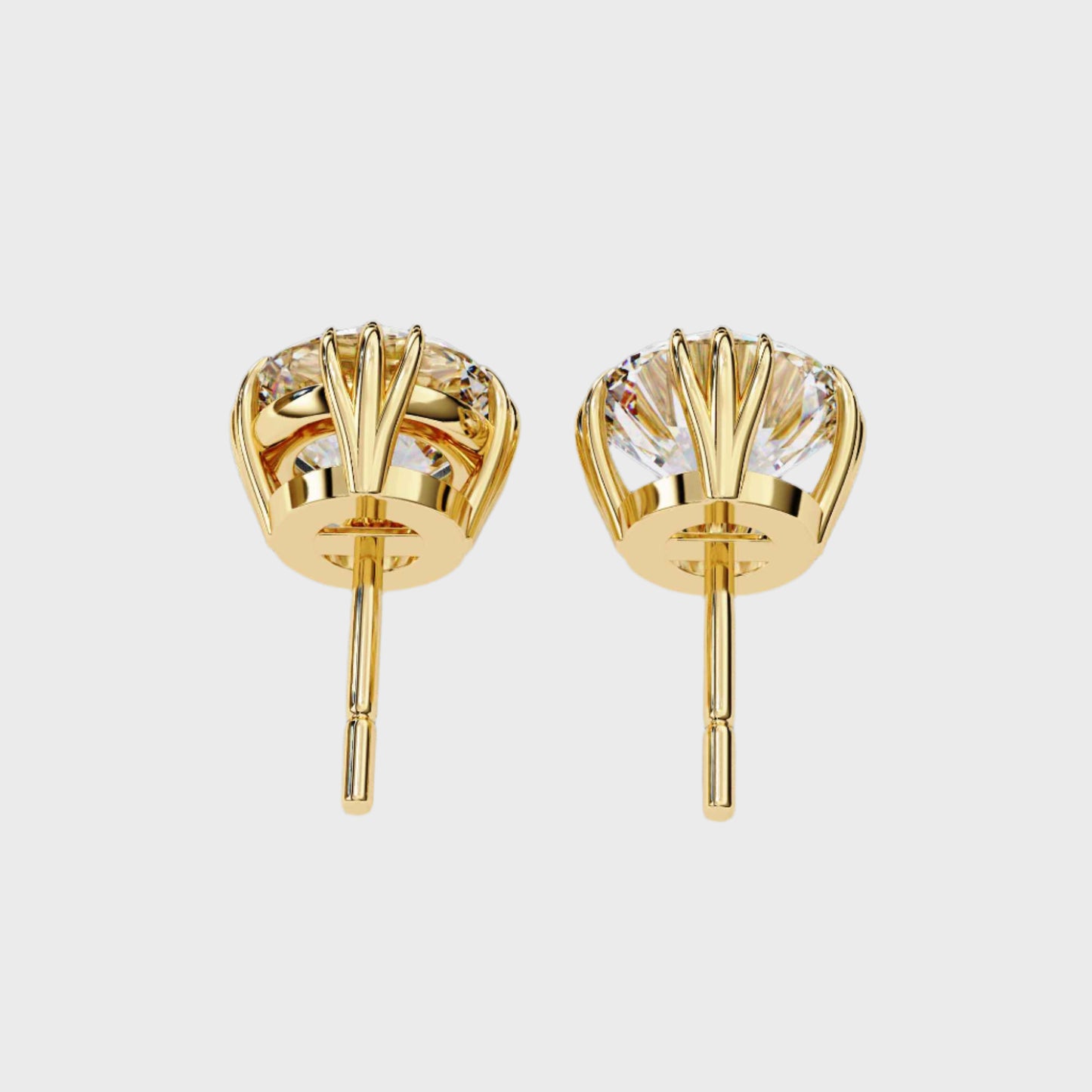 Earrings (005)