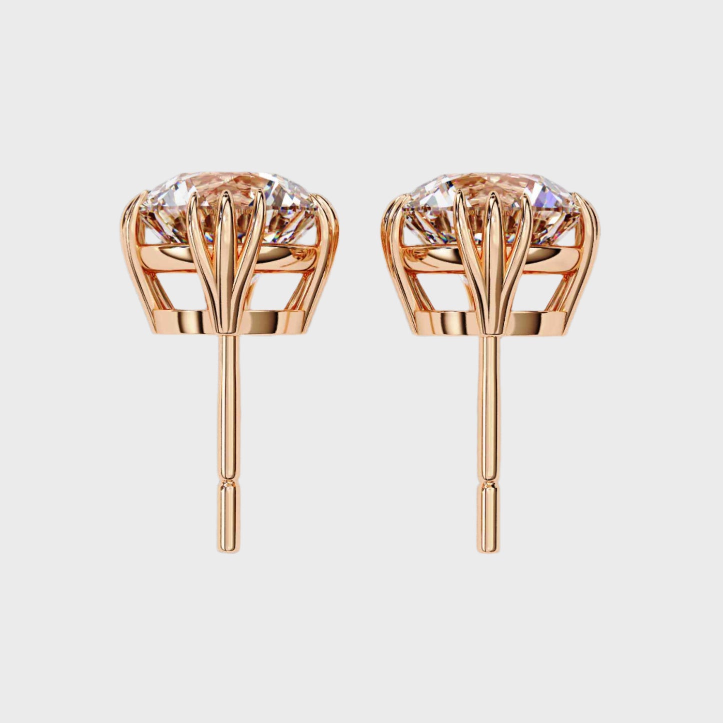 Earrings (005)