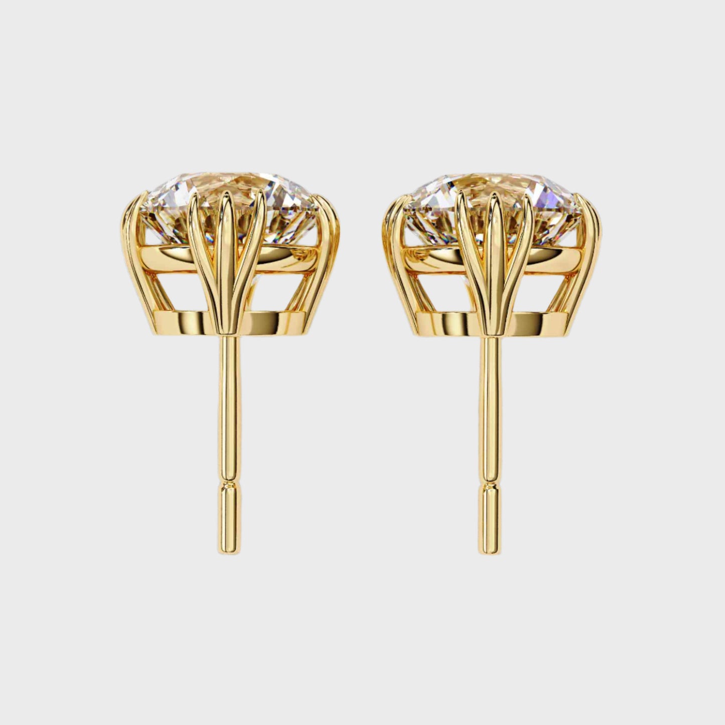 Earrings (005)