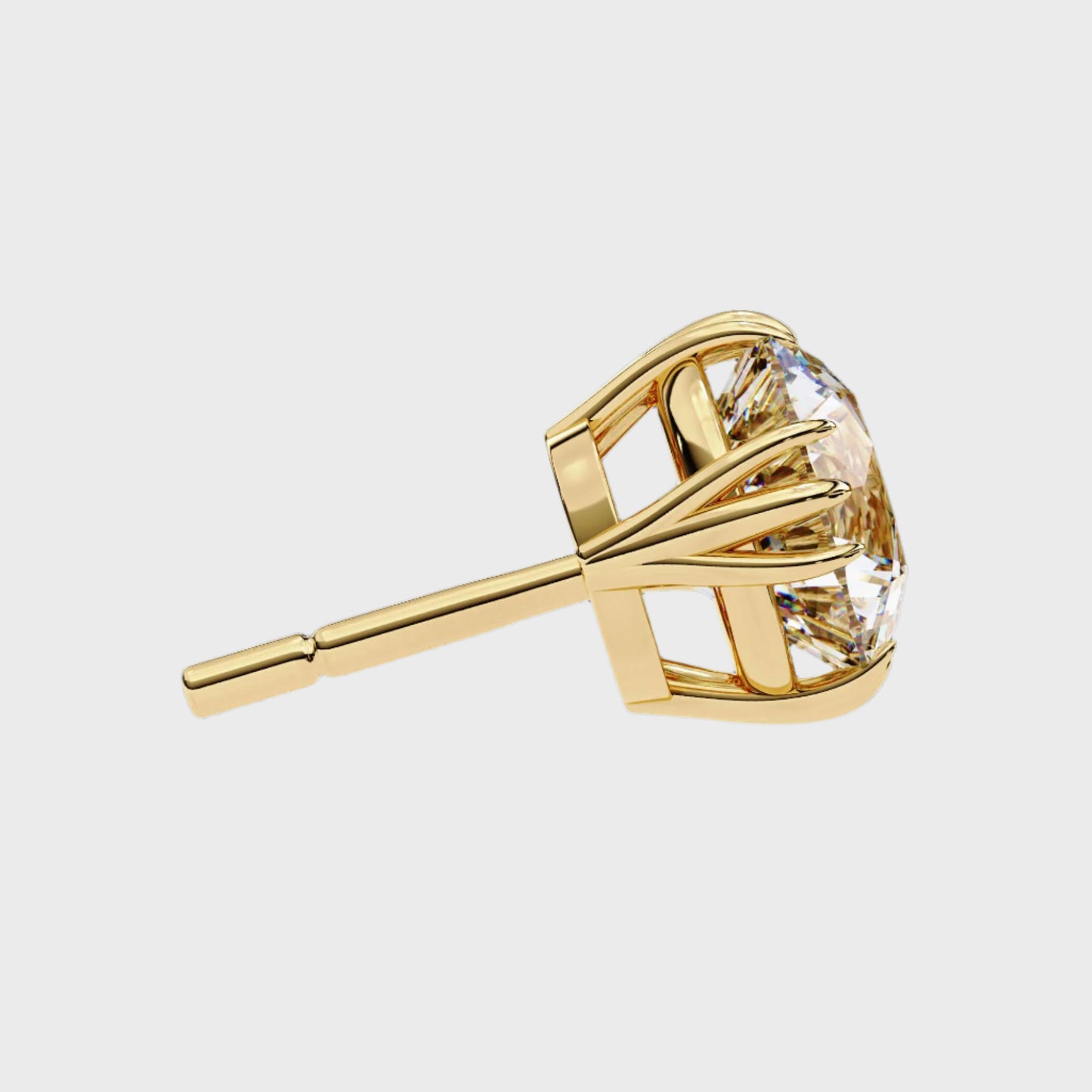 Earrings (005)