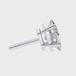 Earrings (001)