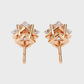 Earrings (001)