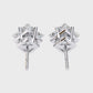 Earrings (001)