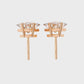 Earrings (001)