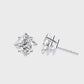 Earrings (001)