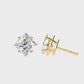 Earrings (001)