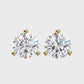 Earrings (002)