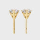 Earrings (002)