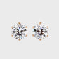 Earrings (003)
