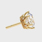 Earrings (003)