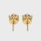 Earrings (003)