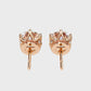 Earrings (003)