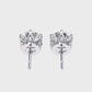 Earrings (003)