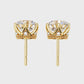 Earrings (003)