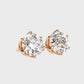 Earrings (003)