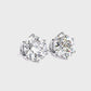 Earrings (003)