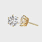 Earrings (003)