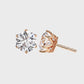 Earrings (003)