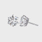 Earrings (003)
