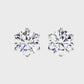 Earrings (003)