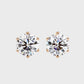 Earrings (003)