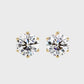 Earrings (003)