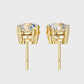 Earrings (004)