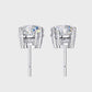 Earrings (004)