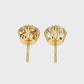 Earrings (005)