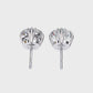 Earrings (005)