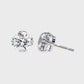 Earrings (005)