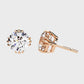 Earrings (005)