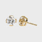 Earrings (005)