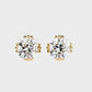 Earrings (005)