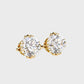 Earrings (005)