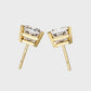 Earrings (006)