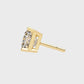 Earrings (006)