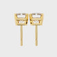 Earrings (007)