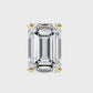 Earrings (007)