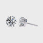 Earrings (008)