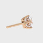 Earrings (008)